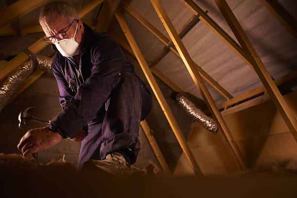 Best Insulation Maintenance and Repair in Jessup, PA